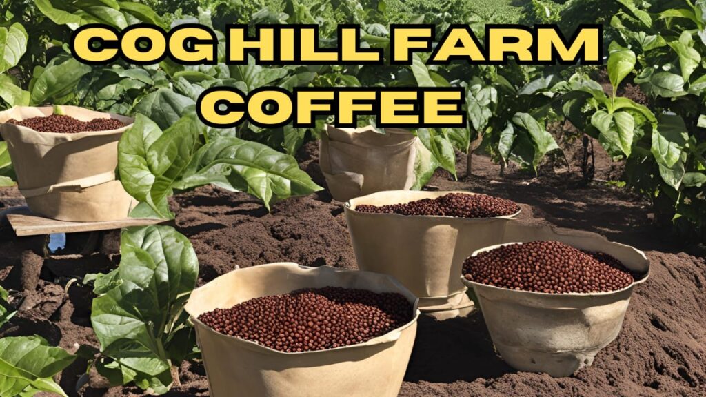 Cog Hill Farm Coffee 